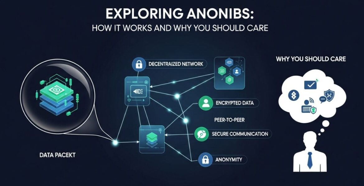 Exploring anonibs: How It Works and Why You Should Care