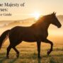 Exploring the Majesty of bk horse: A Comprehensive Guide