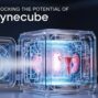 Unlocking the Potential of gynecube: A Comprehensive Overview