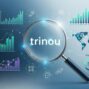 Unpacking the Mystery of trinou: Trends and Insights